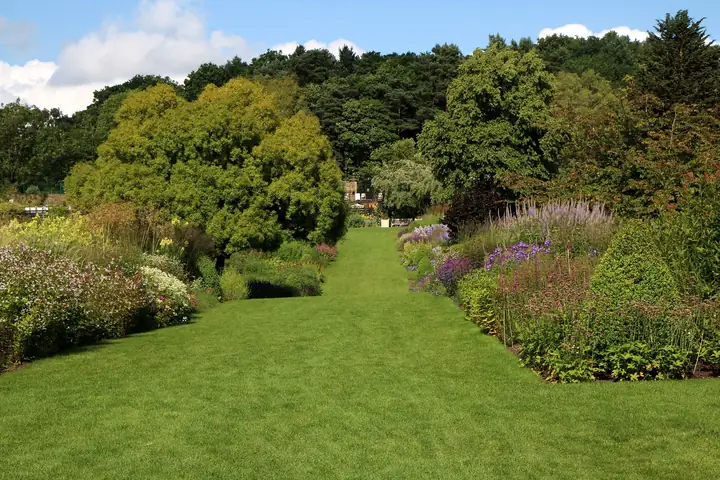 A wide mown lawn running between deep flower borders